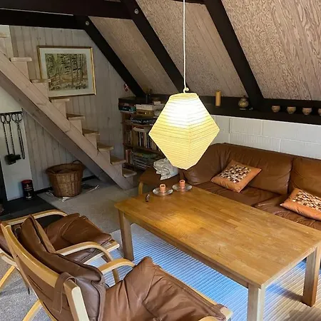Charmerende Sommerhus Nyaraló Ringkøbing
